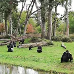 Les Chenets